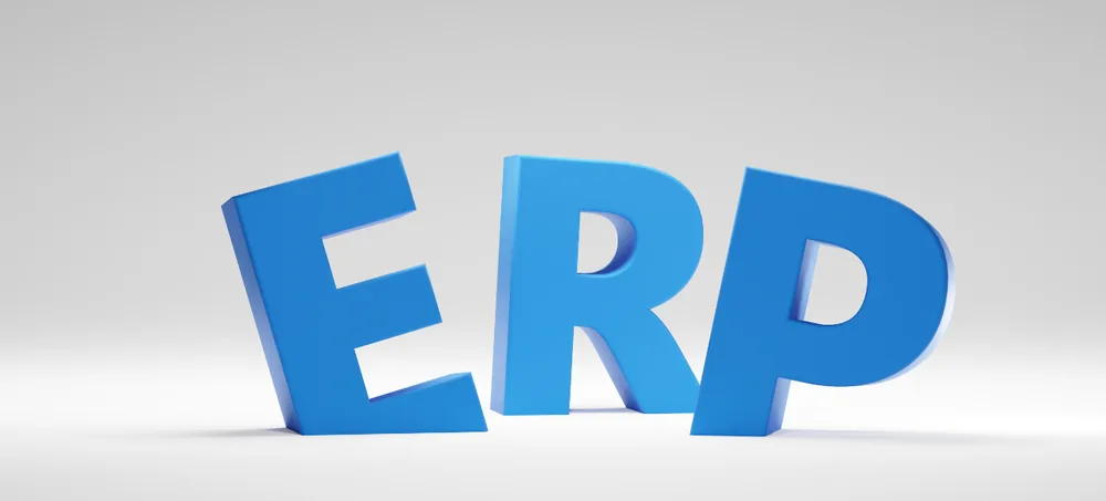 Developer ERP