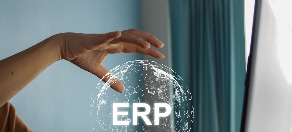 ERP Development